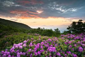 Great Smoky Mountains