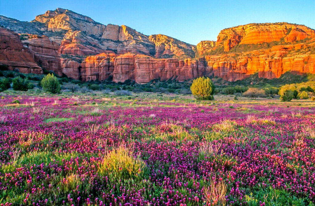 Sedona, Arizona
